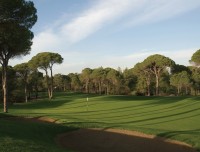 Cornelia Faldo Course