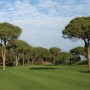 Cornelia Faldo Course