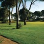 Cornelia Faldo Course