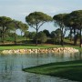 Cornelia Faldo Course