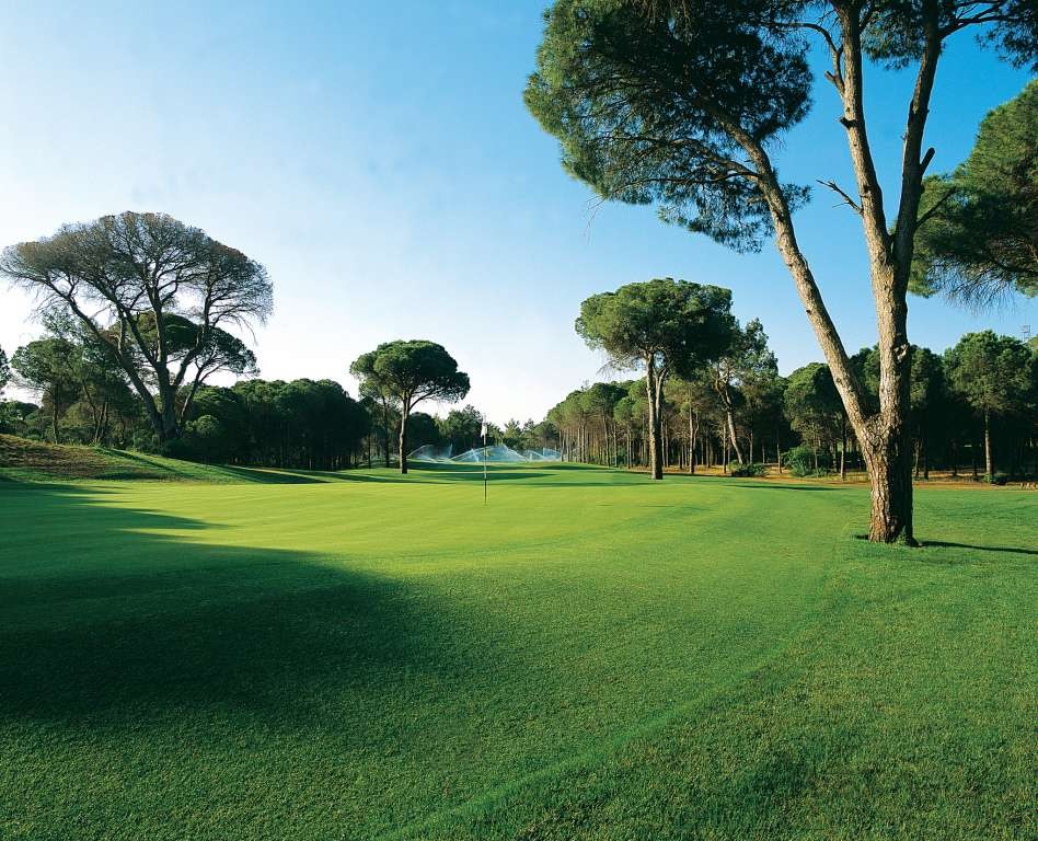 Cornelia Diamond - 7 Nights, 3x Cornelia Golf Faldo Club