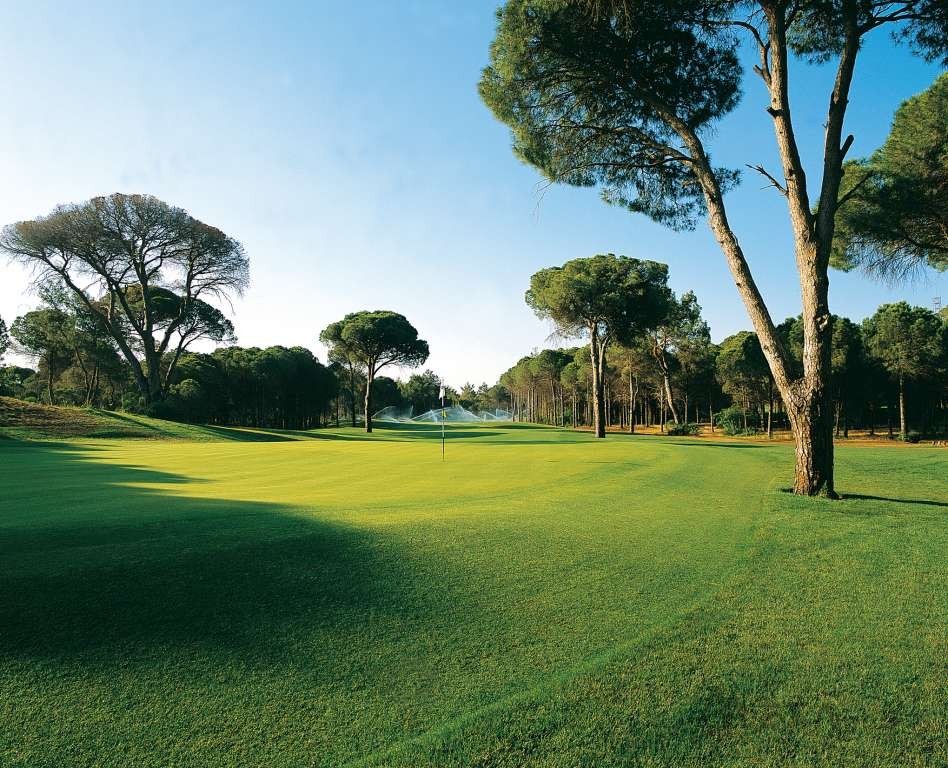 Cornelia Faldo Course