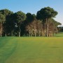 Cornelia Faldo Course