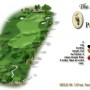 Sultan PGA Golf Course