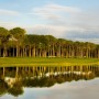 Carya Golf Club