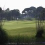 Sueno The Pines Golf Course