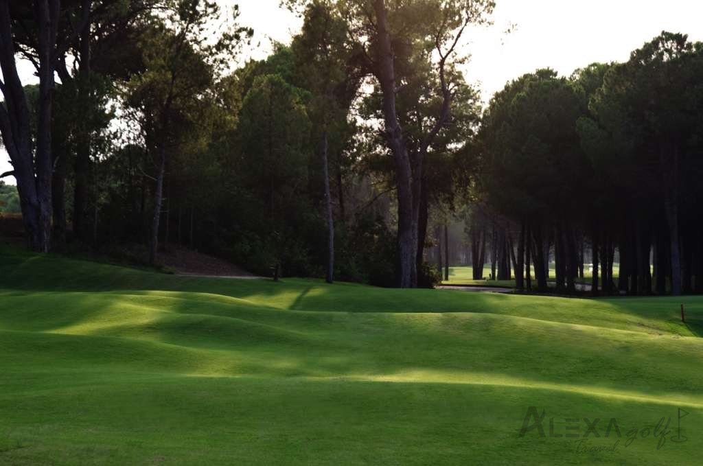 Sueno The Pines Golf Course