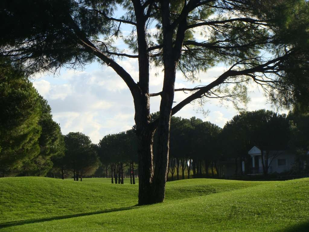 Robinson Nobilis Golf Course